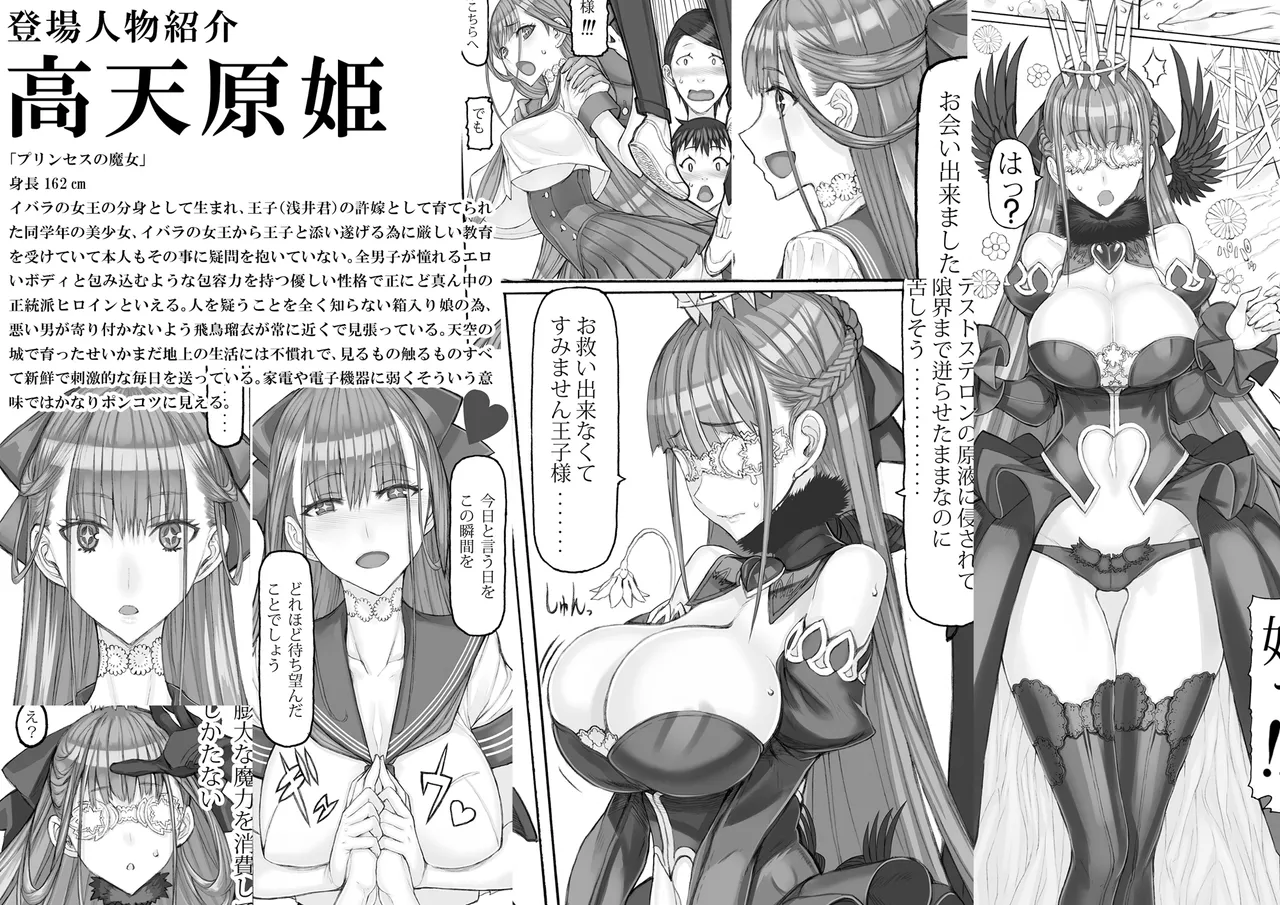魔法少女総集編5 Page.11
