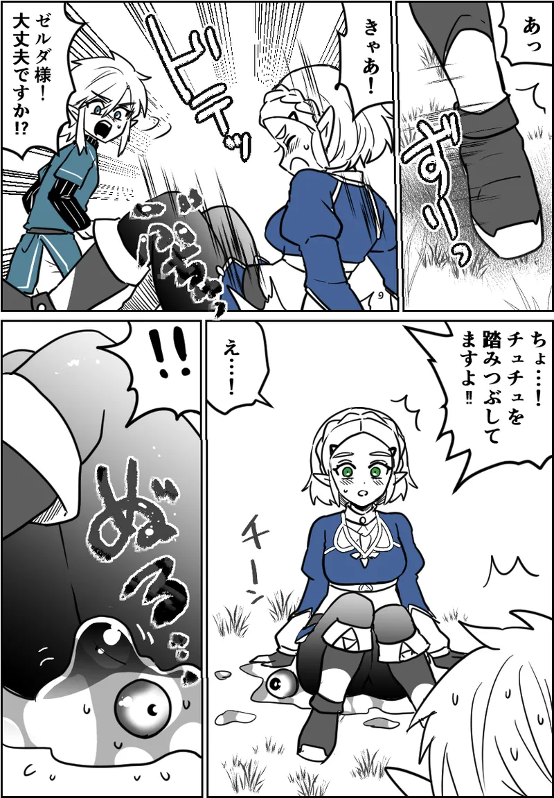 チュチュの事故