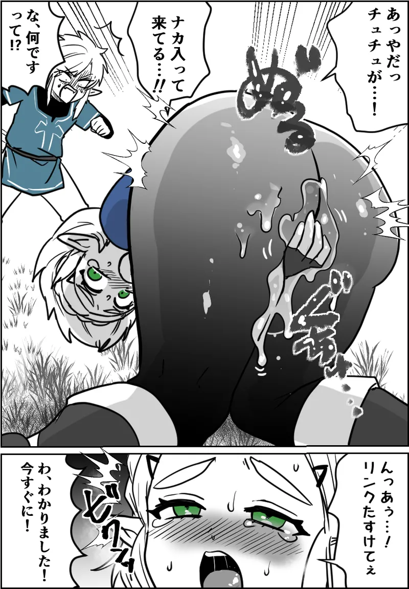 チュチュの事故 Page.2