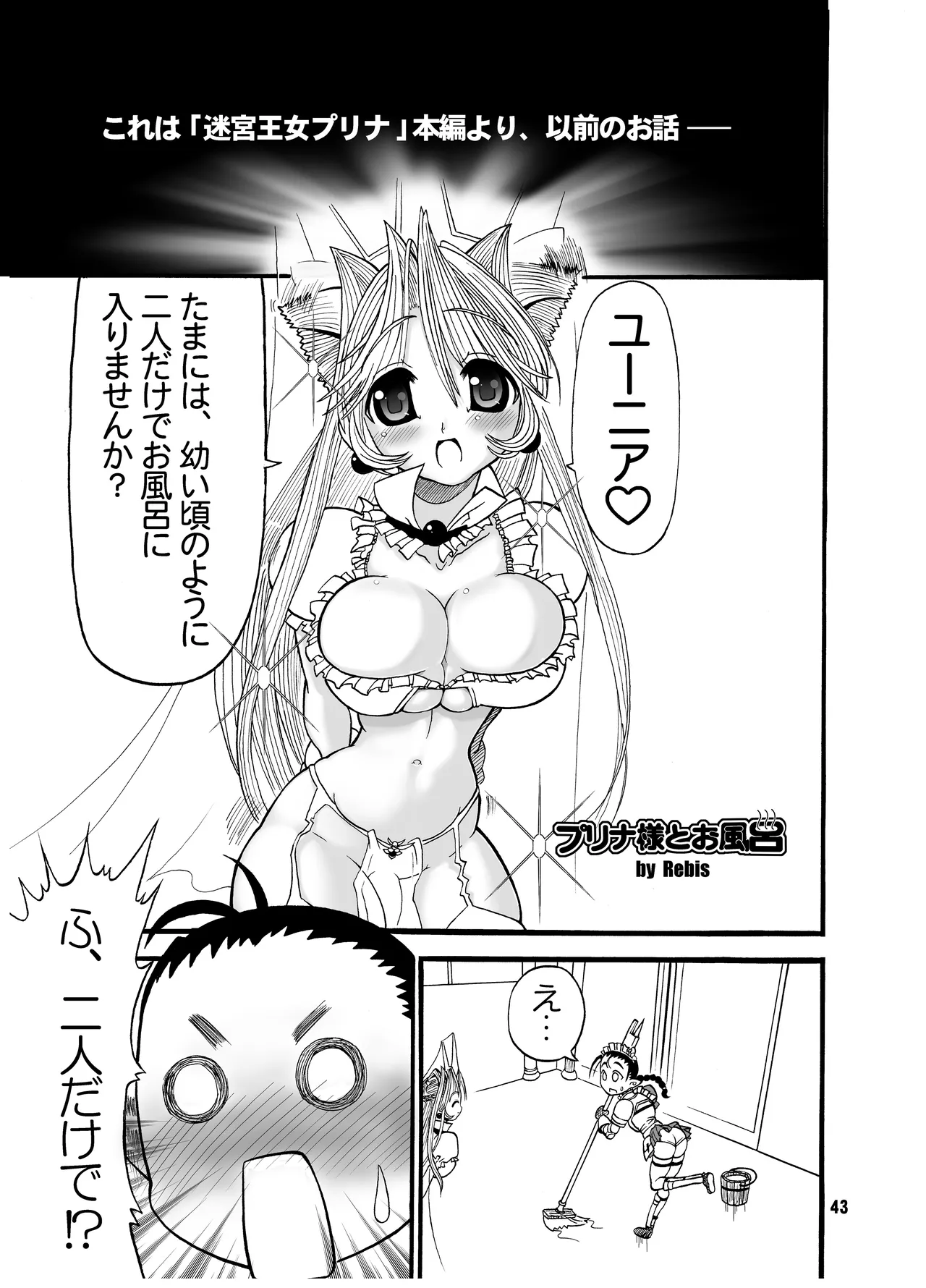 TGWOA Vol.15 - 迷宮王女プリナ 2 Page.43