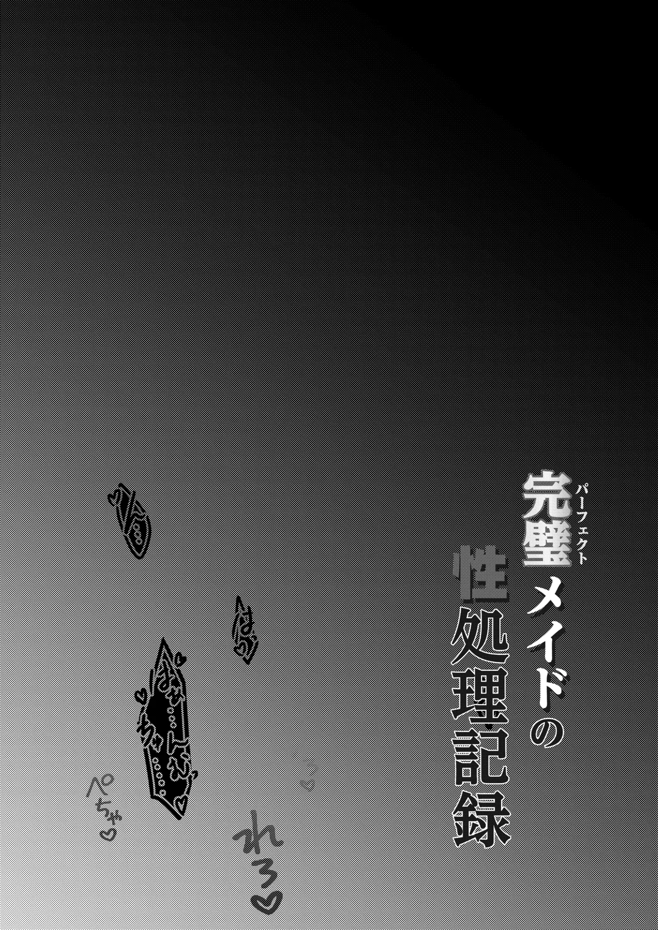 完璧メイドの性処理記録 Page.2