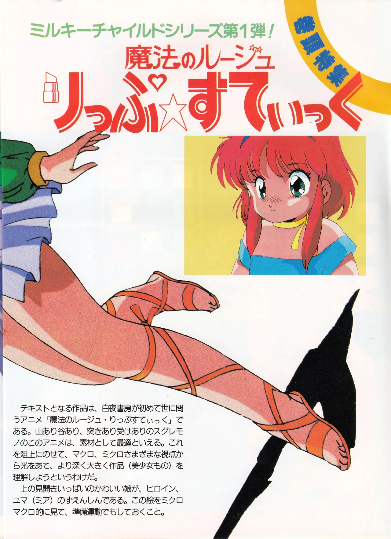 正しい美少女アニメの見方「魔法のルージュ りっぷ☆すてぃっく」特集と設定 Page.5