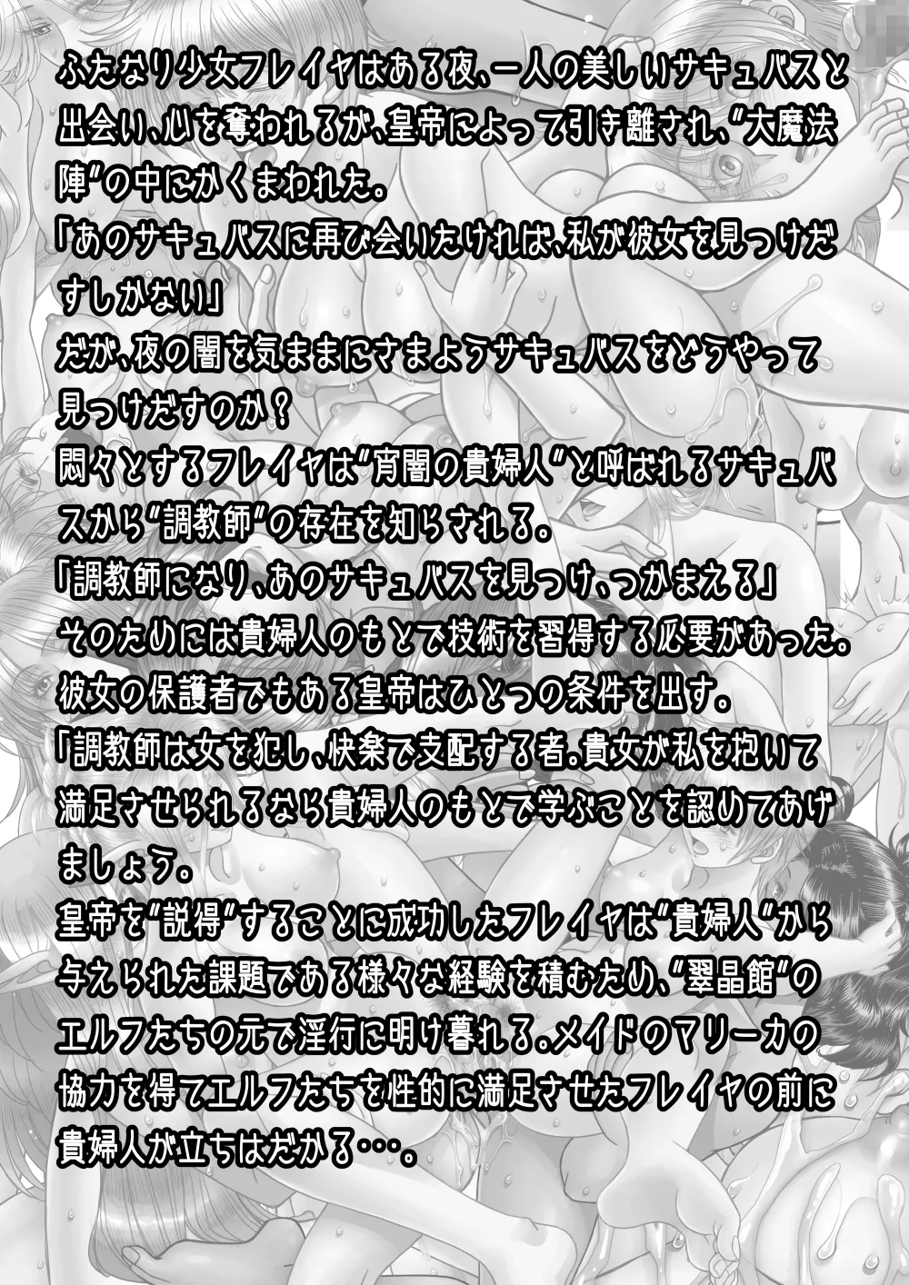 サキュバス調教日誌V「貴婦人」 Page.3