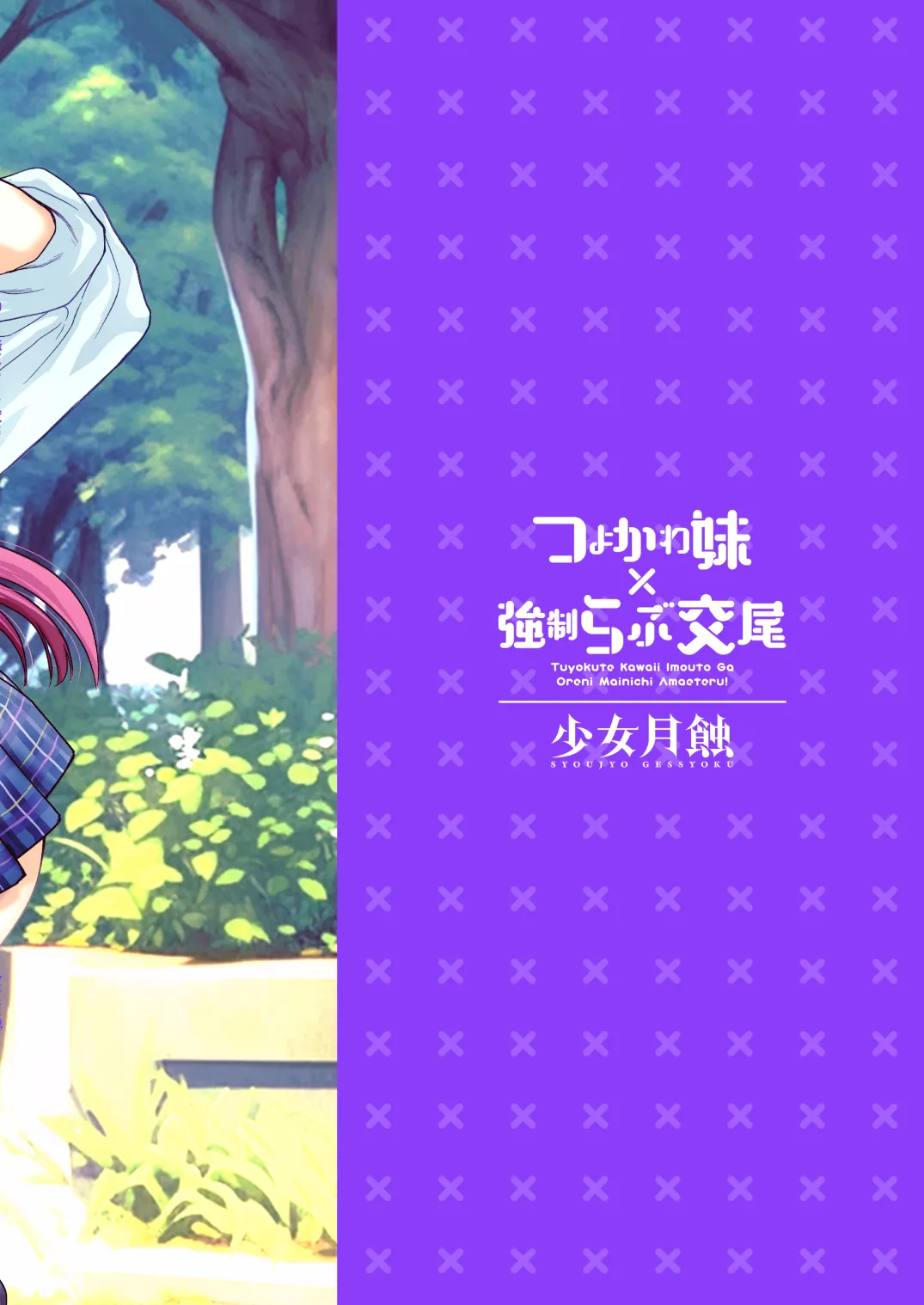 つよかわ妹×強制らぶ交尾6 Page.49