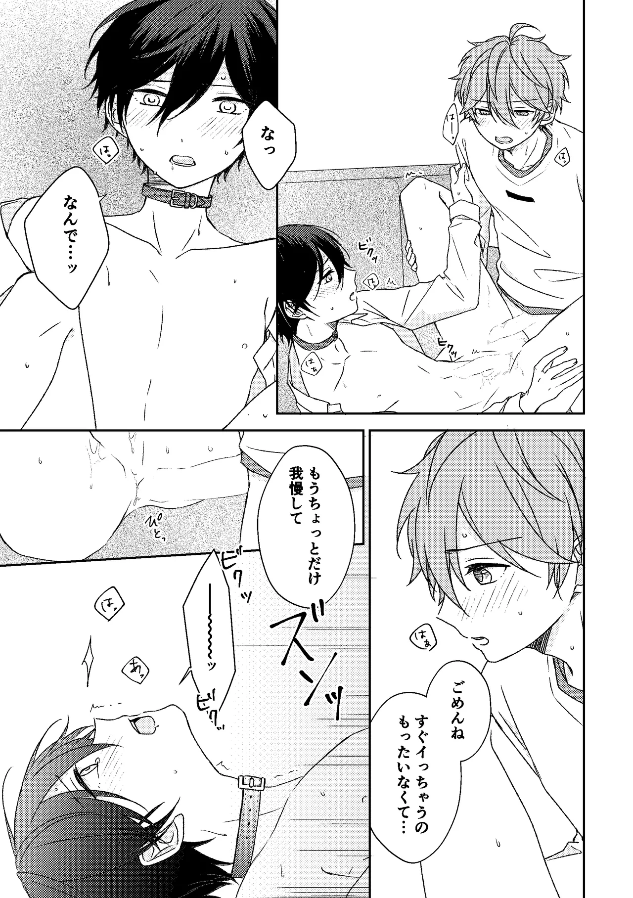 ホッケ〜につい出来心で首輪をつけてみたんだけど Page.12