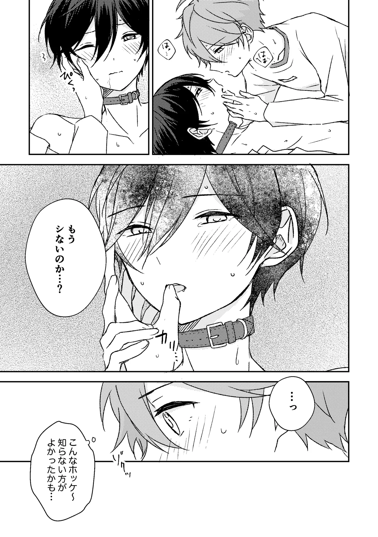 ホッケ〜につい出来心で首輪をつけてみたんだけど Page.16