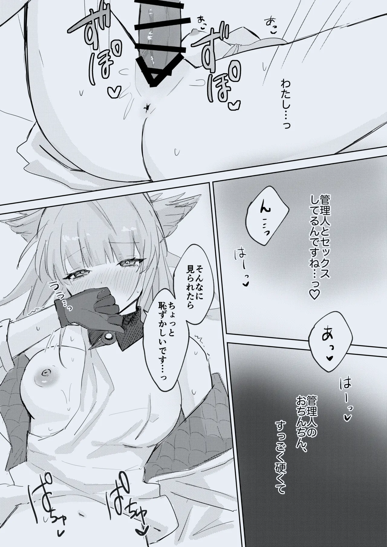 PERMEATICA Page.12