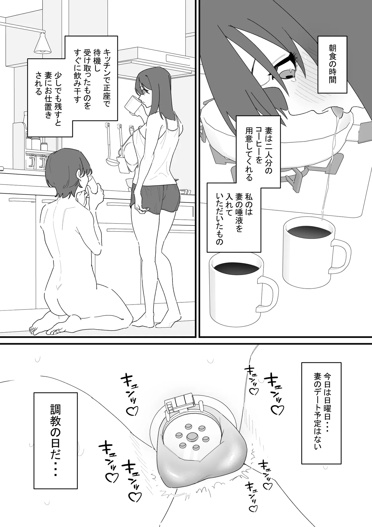 性処理道具にされた夫のメス化計画 Page.10