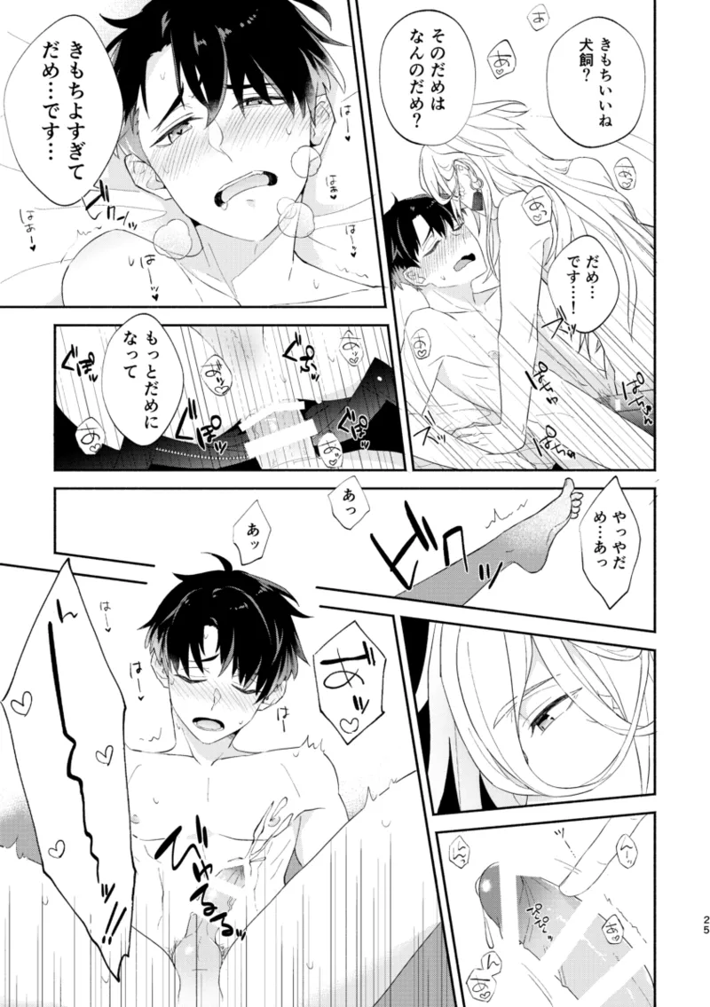 リムライト Page.24