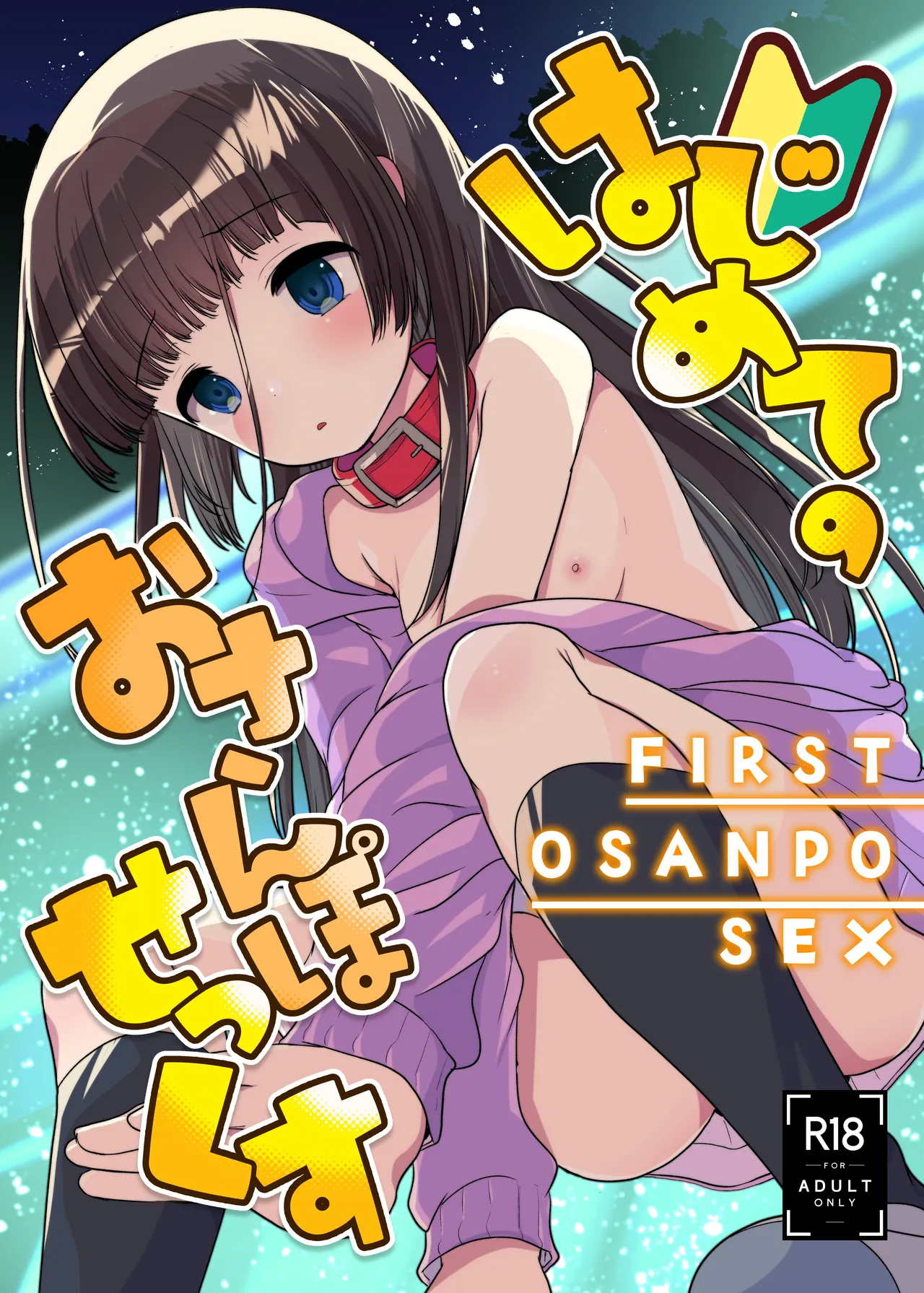 はじめてのおさんぽせっくす