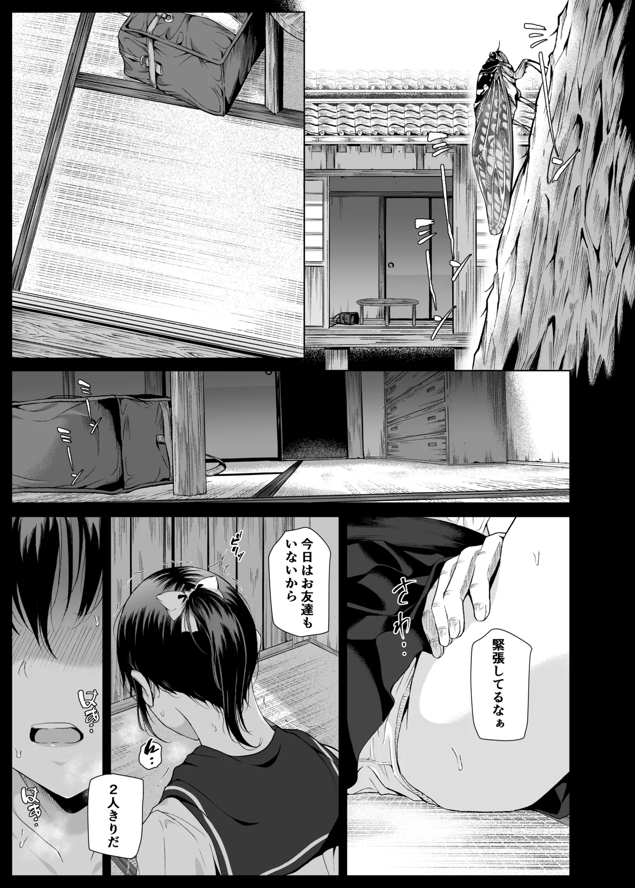 夏、田舎でおじさんと〜里帰り〜 Page.2