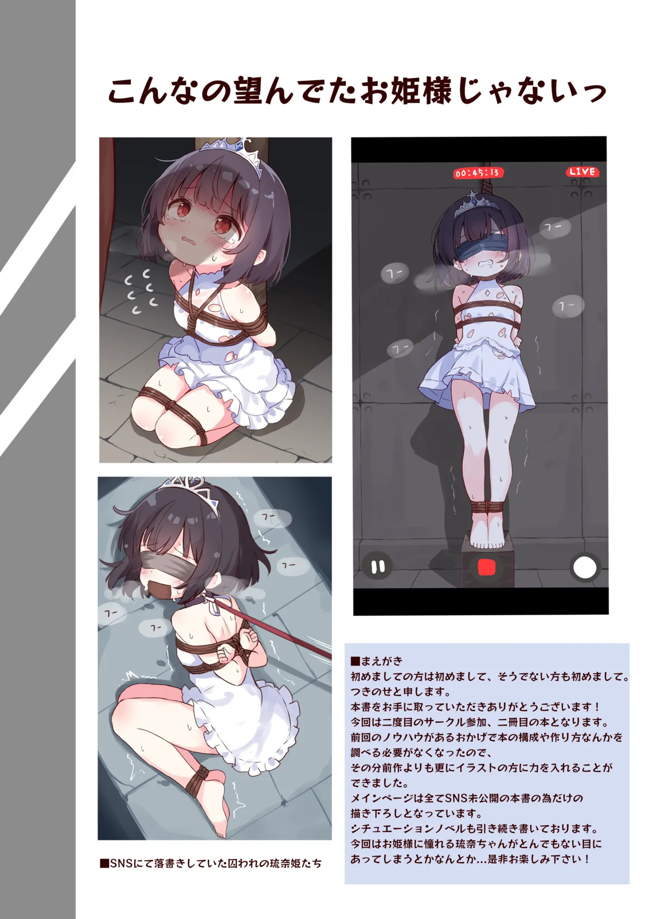 こんなの望んでたお姫様じゃないっ Page.3