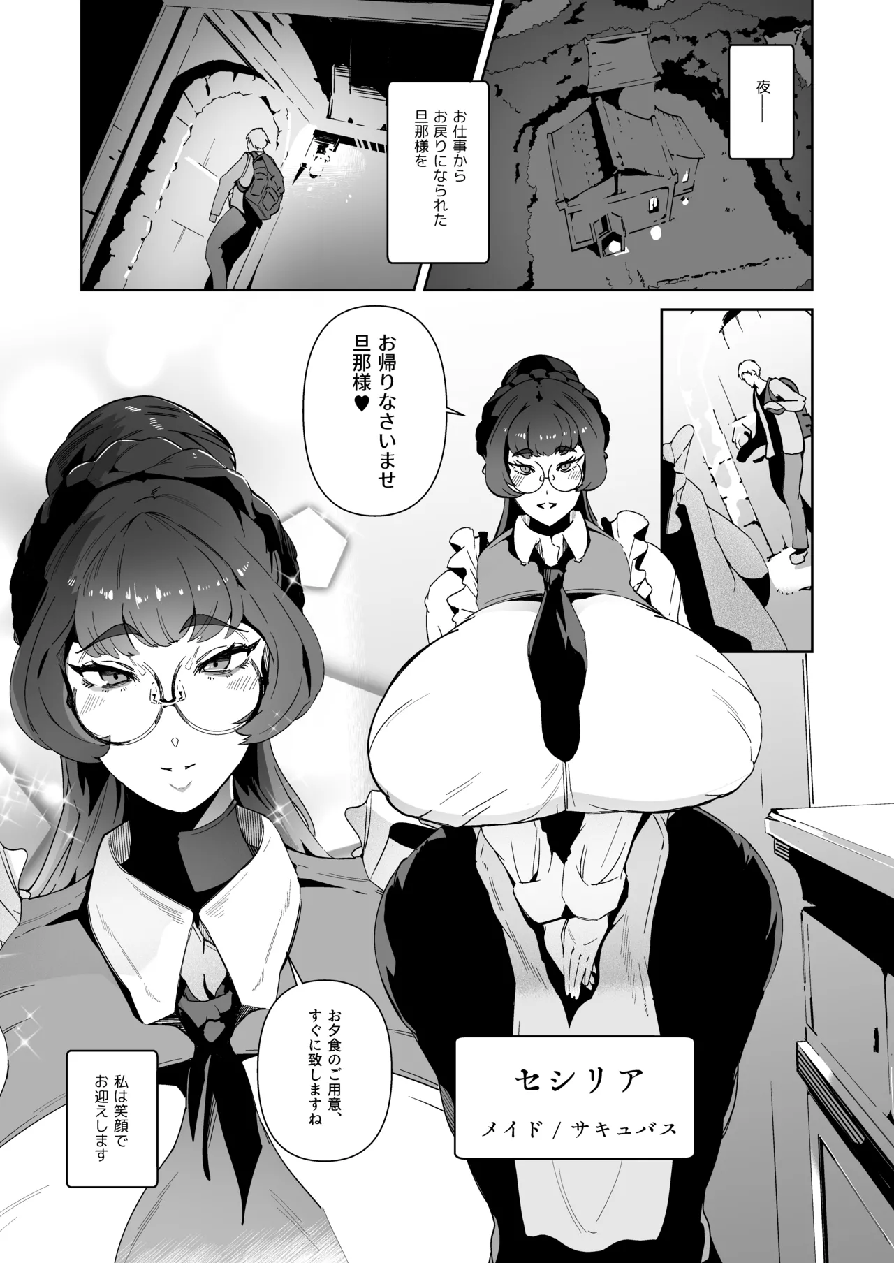 サキュバスメイドと過ごす夜 Page.3