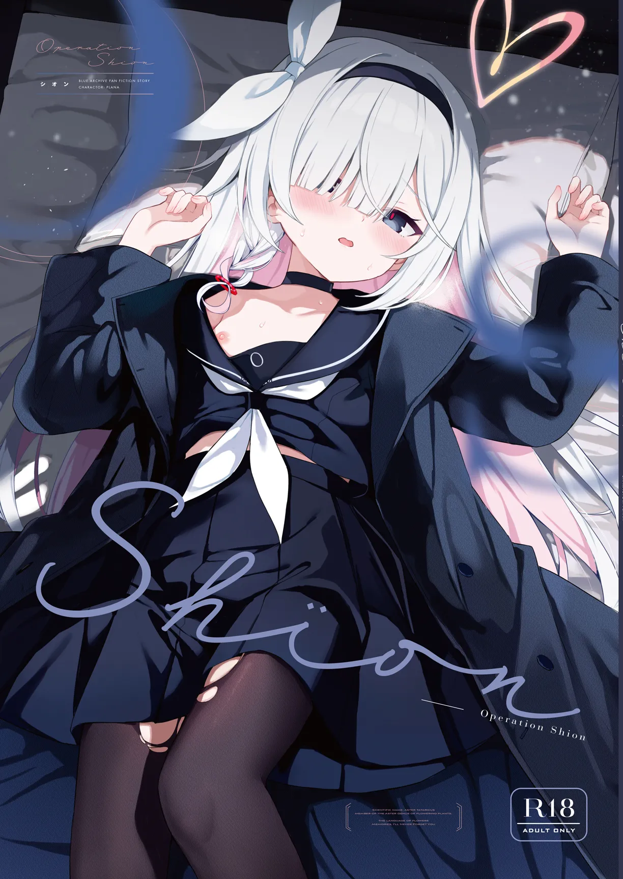 Operation Shion