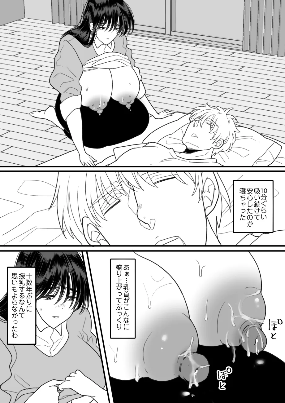 母さんは反抗期息子と子作りセックスに夢中 Page.17