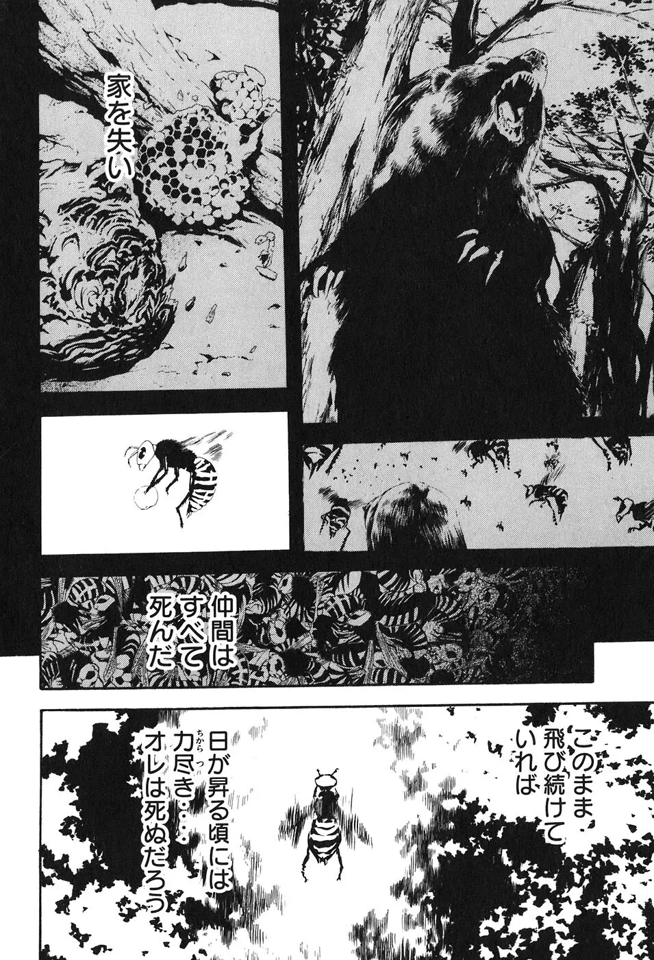 思春期狂想曲 Page.198