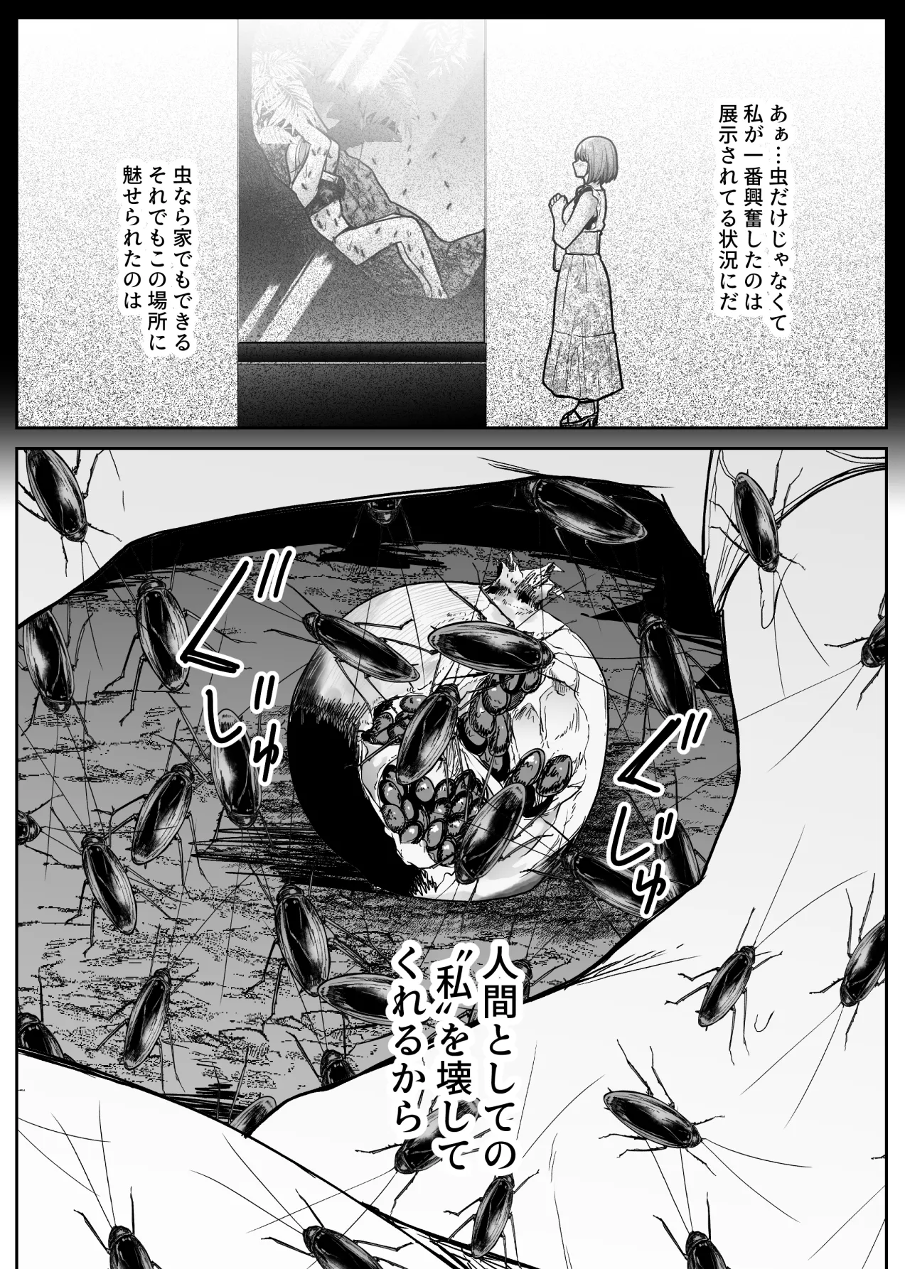 昆虫館 Page.28