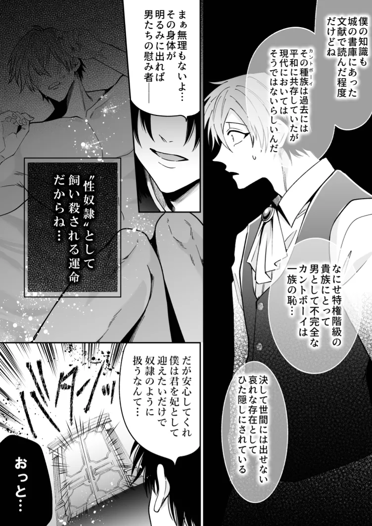 没落した悪役令息ですがカントボーイなので敵国王子の溺愛裏ルートに入りました。 Page.14
