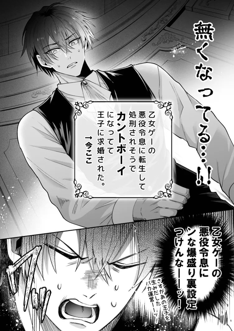 没落した悪役令息ですがカントボーイなので敵国王子の溺愛裏ルートに入りました。 Page.15