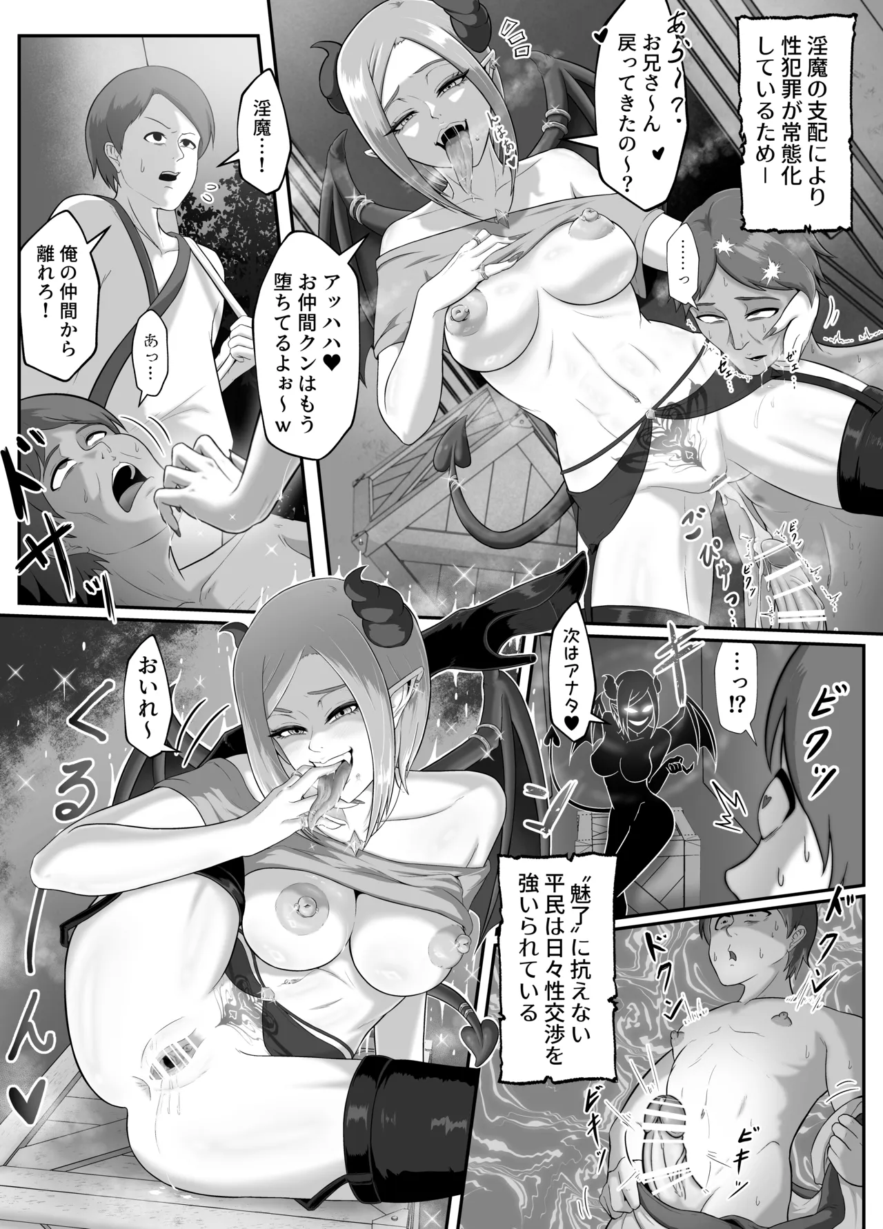 サキュバス城攻略 (1)淫魔に支配された王国 Page.14