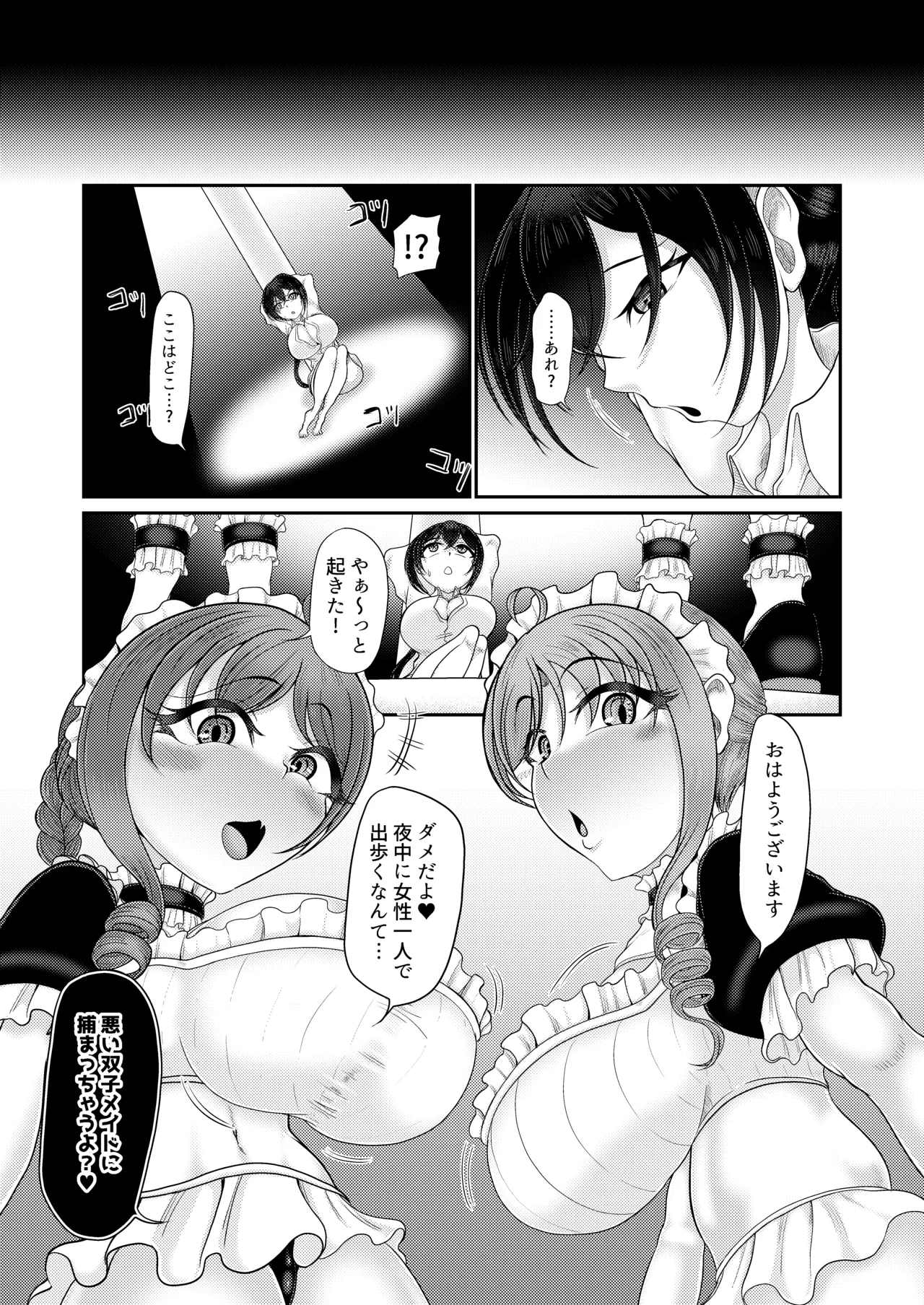人格排泄メイド～双子メイドに堕とされて～ Page.3