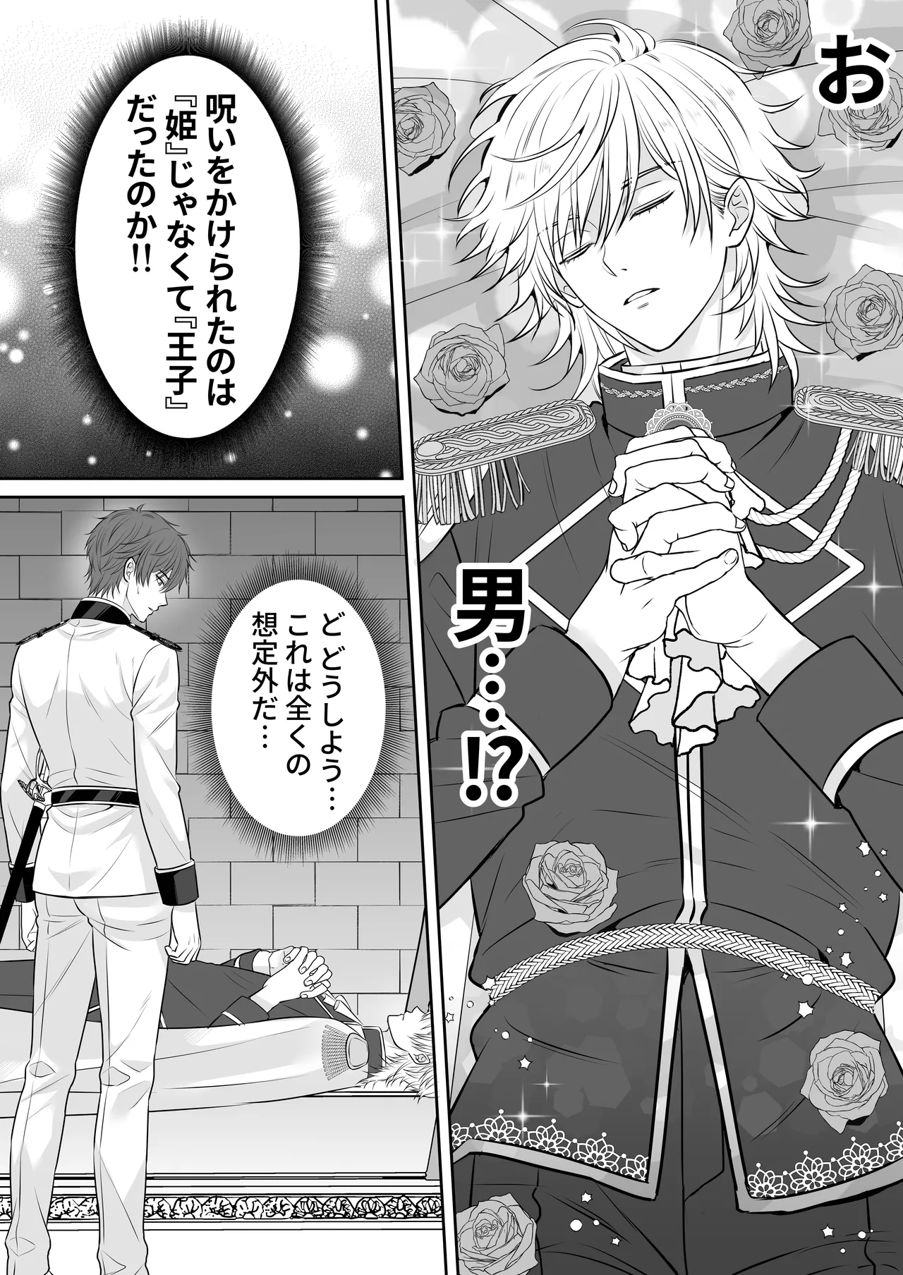 眠り姫を助けに行ったら、眠っていたのはイケメンヤンデレ王子でした Page.10