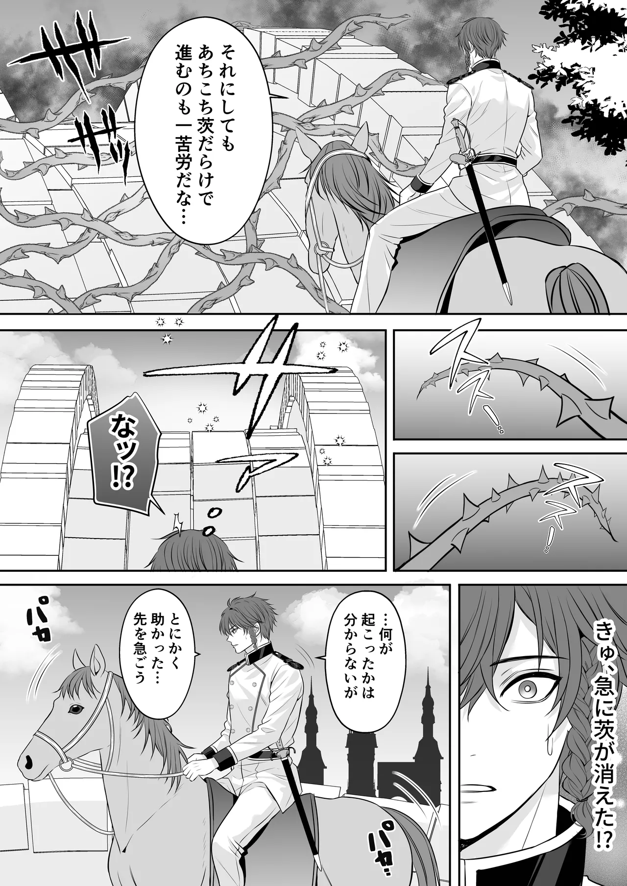 眠り姫を助けに行ったら、眠っていたのはイケメンヤンデレ王子でした Page.8