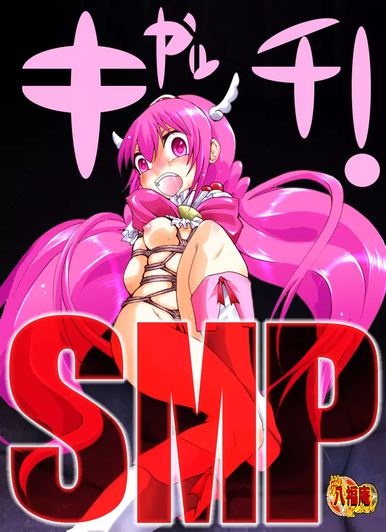 キャッチ!SMP