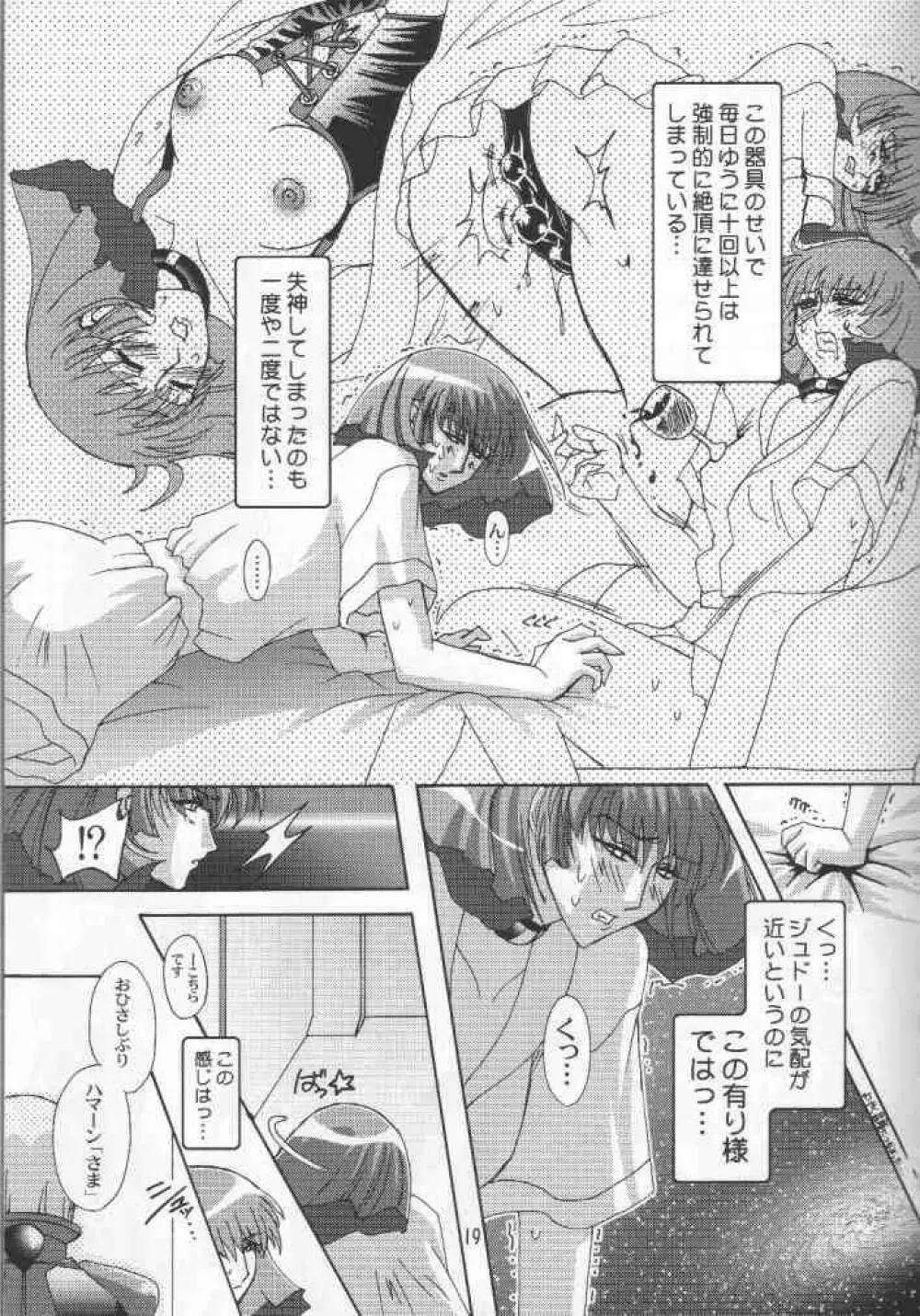 堕 Page.17