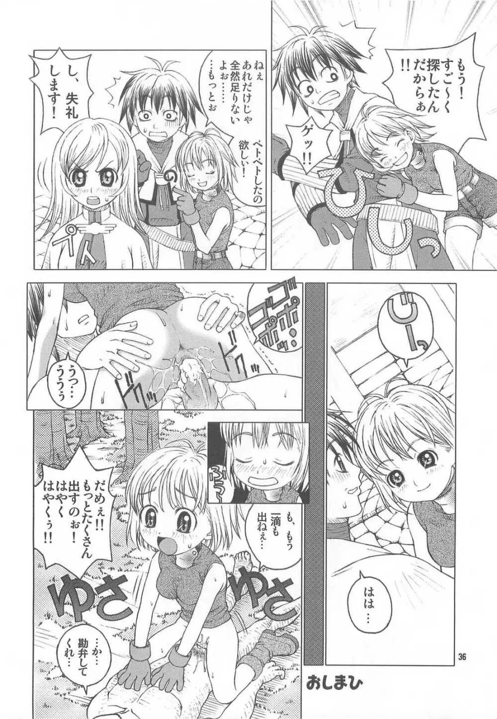 RAGNAROK @NLINE β3 Page.34