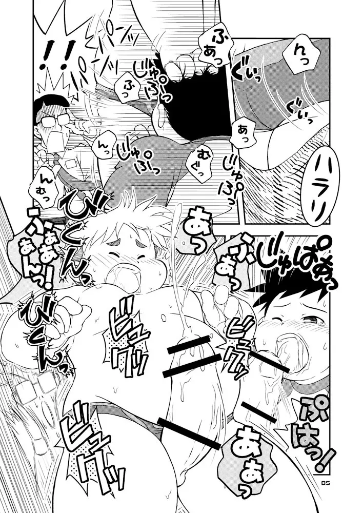 Boronian Page.90