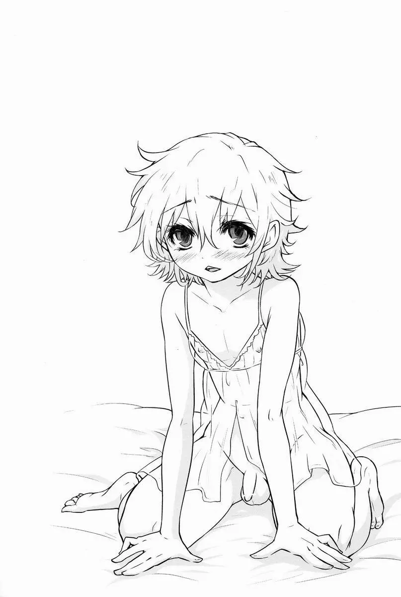 女装アンドロイドはデンキヒツジの夢をみるか Page.15