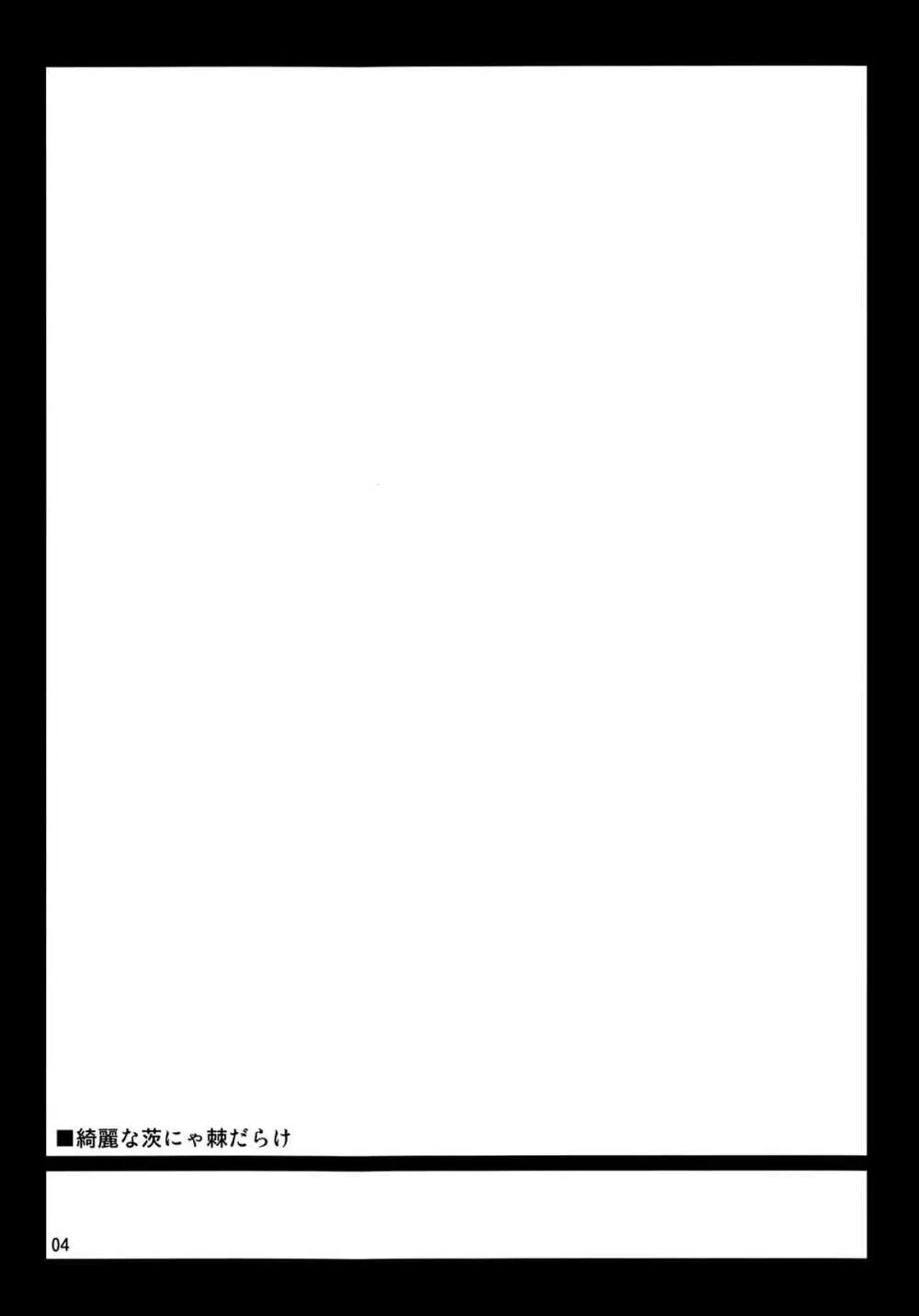 きれいな茨にゃ棘だらけ Page.3