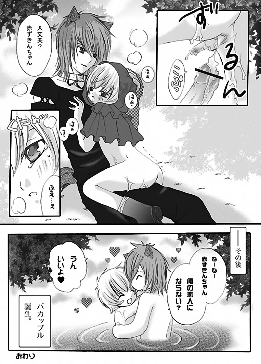 赤ずきんちゃんと狼の話 Page.11
