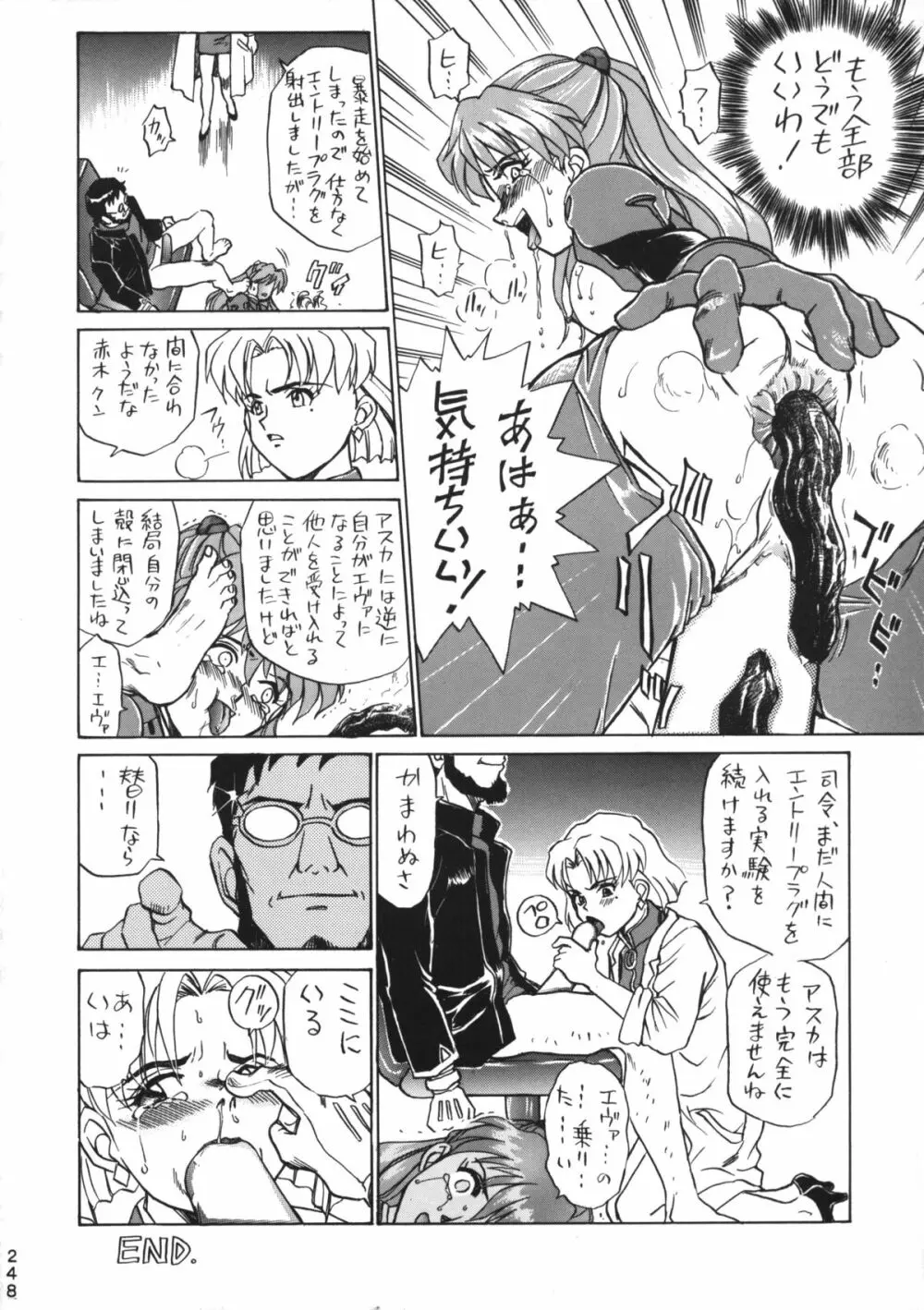 Katze 14 Page.246