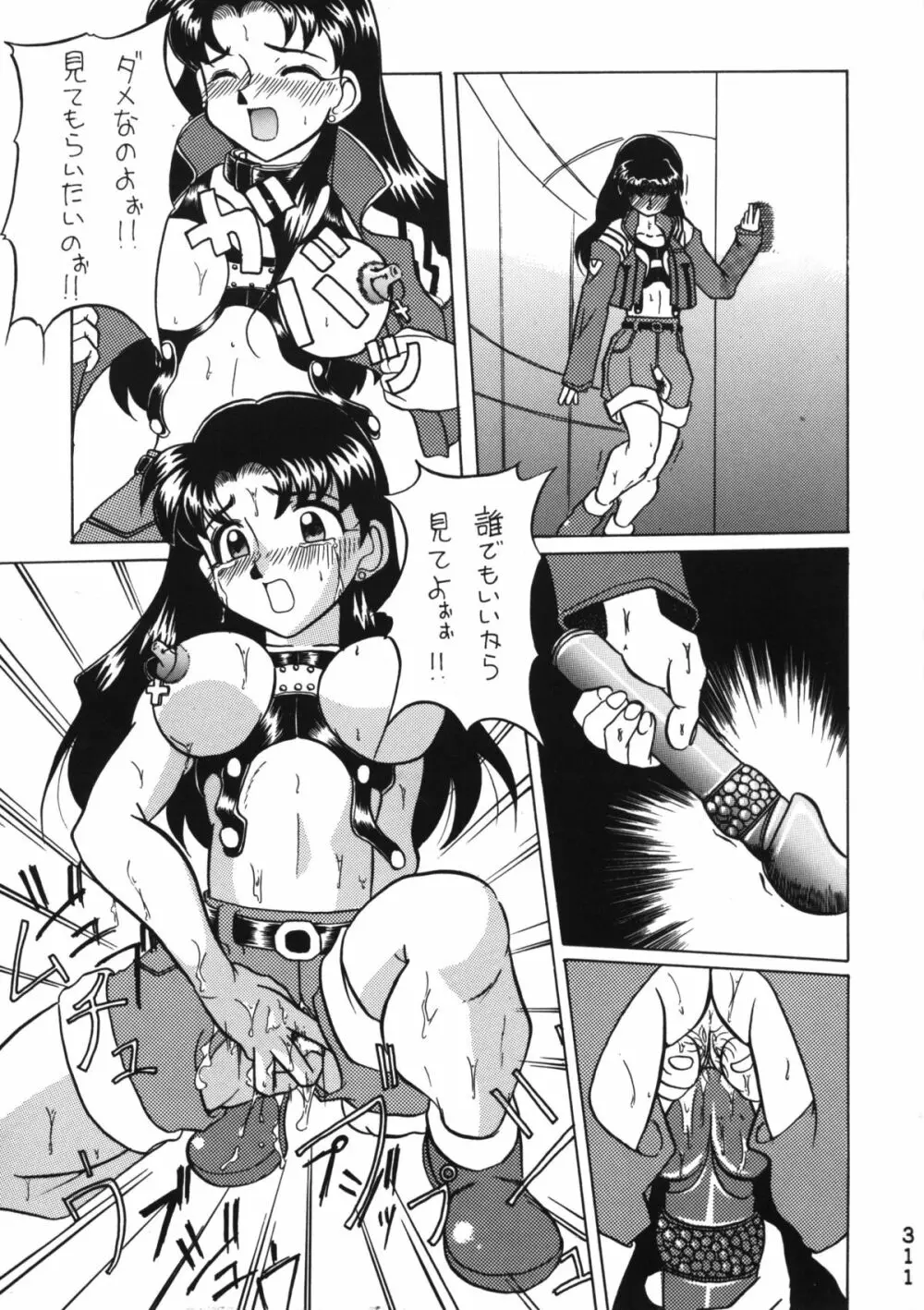 Katze 14 Page.309