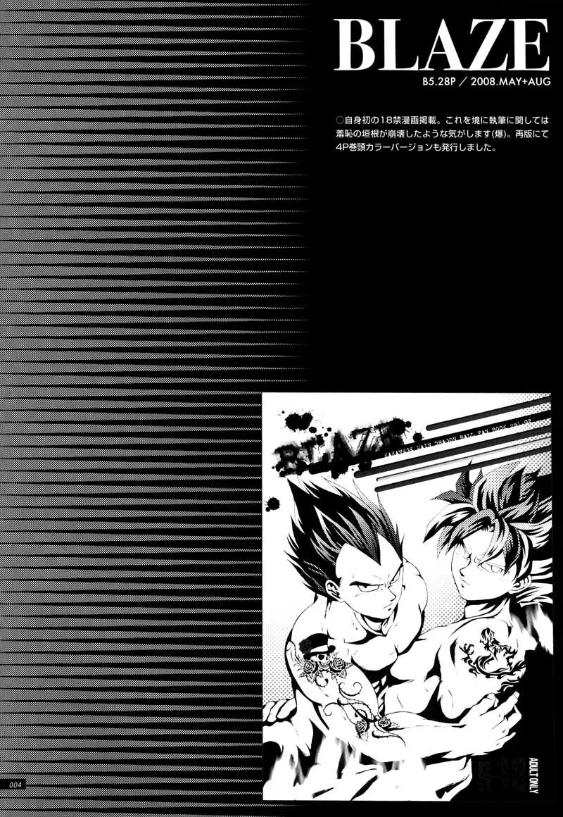 Sairokua Page.2