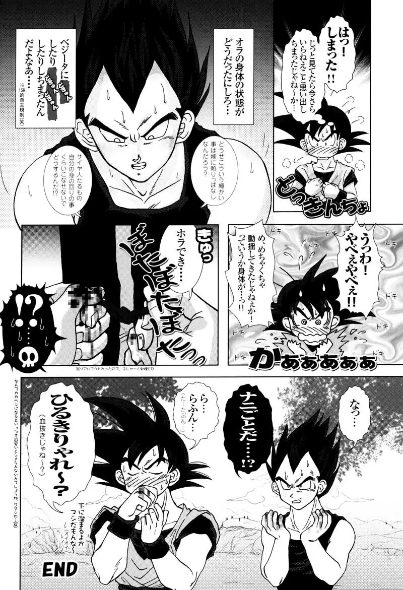 Sairokua Page.22