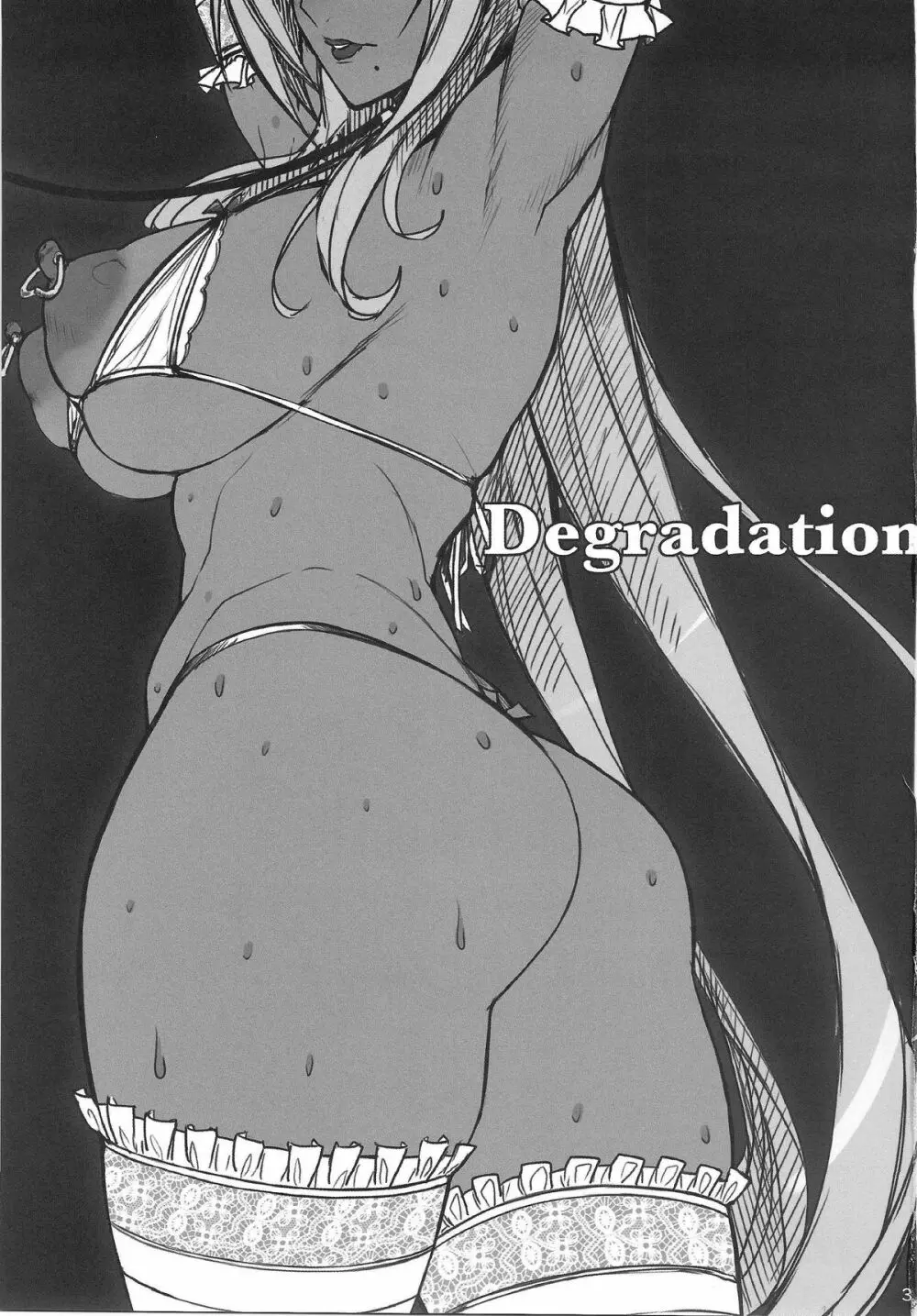 Degradation Page.2