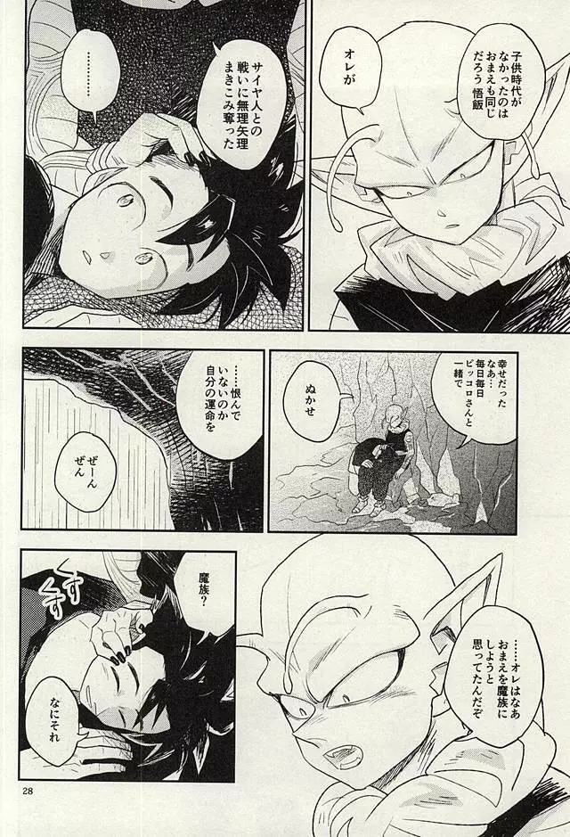 同じ星で生まれた Page.27