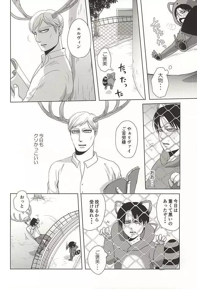 あらいぐまのりばい Page.3