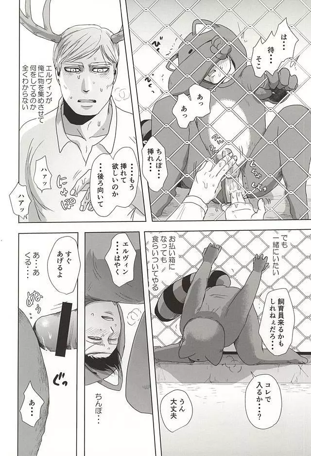 あらいぐまのりばい Page.7