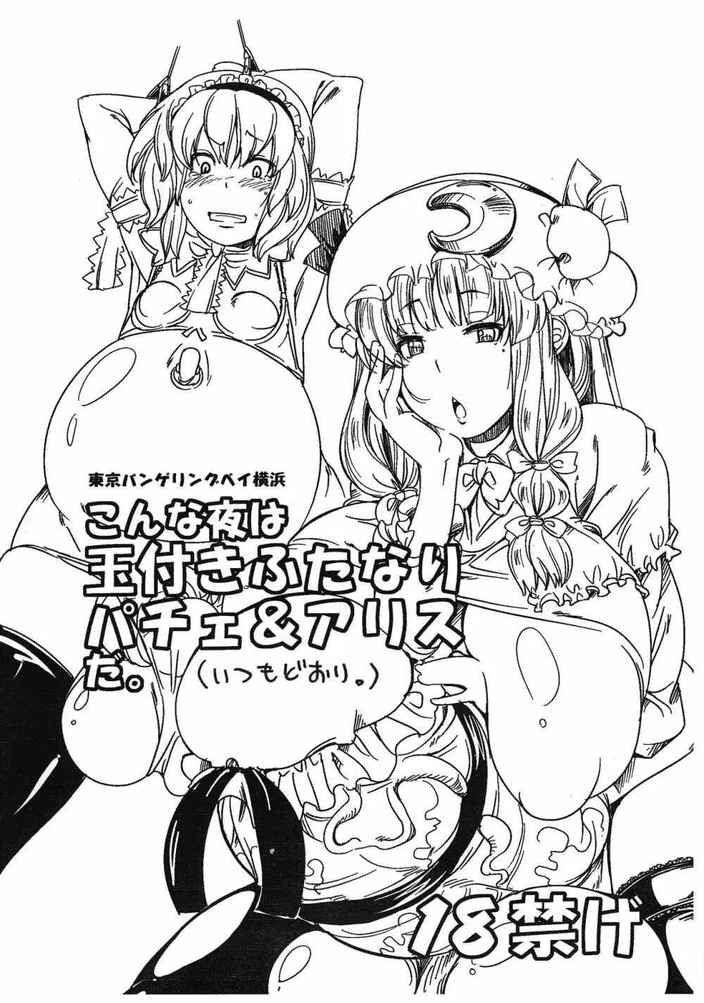 こんな夜は玉付きふたなりパチェ&アリスだ。